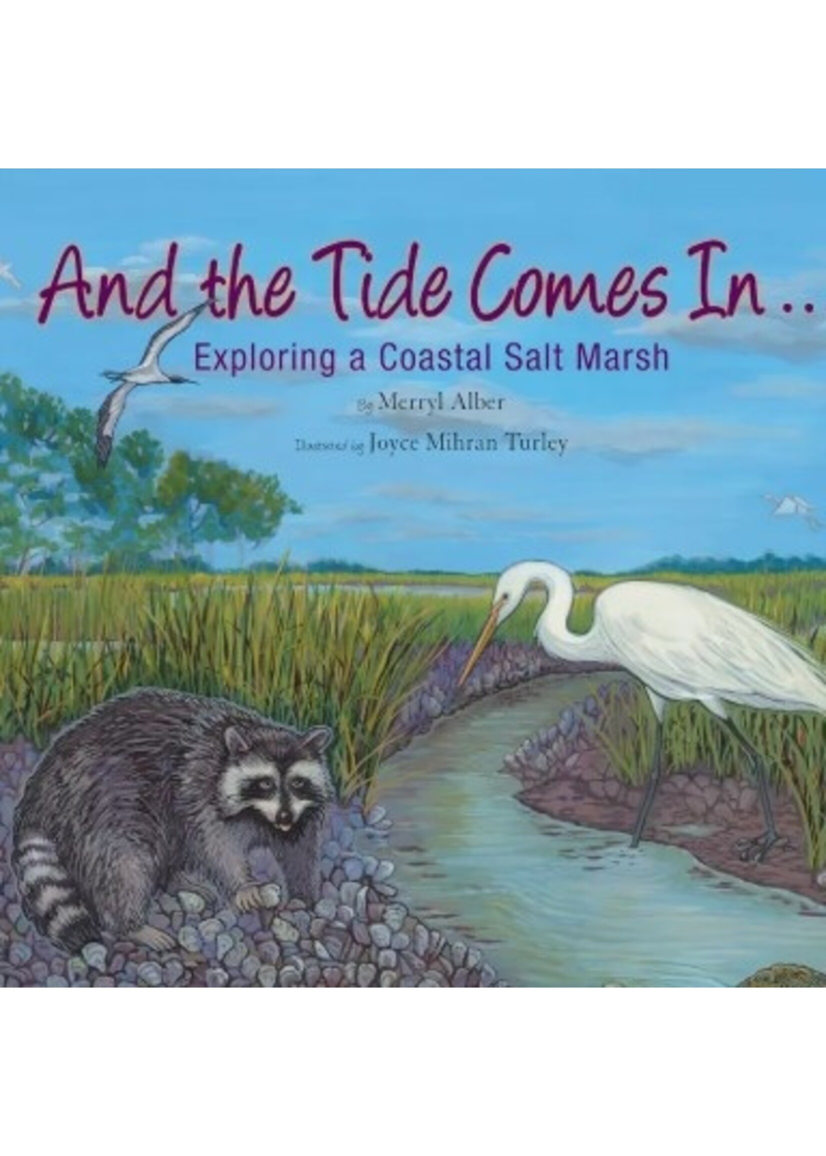 Faire - NBN And the Tide Comes In - Exploring a Coastal Marsh