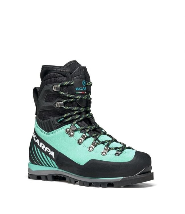 Mont Blanc Pro GTX W's