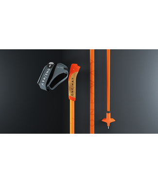 One Way Storm GTX Poles