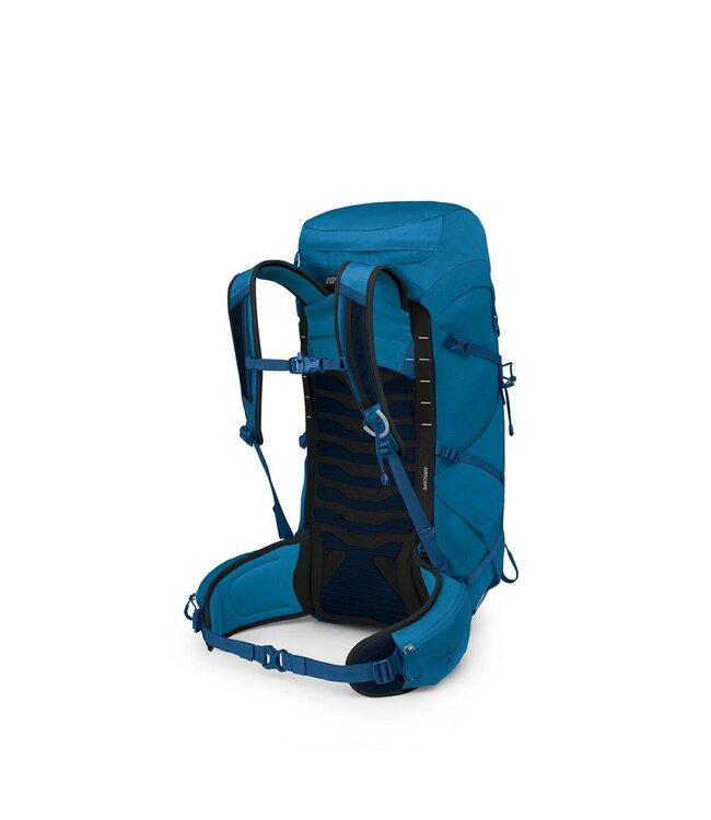 Talon 33