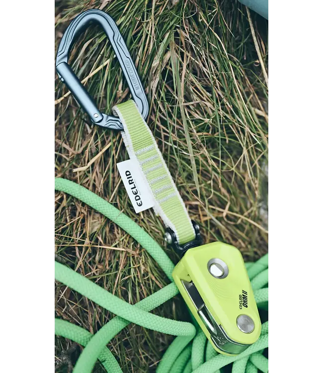 Ohm II Oasis