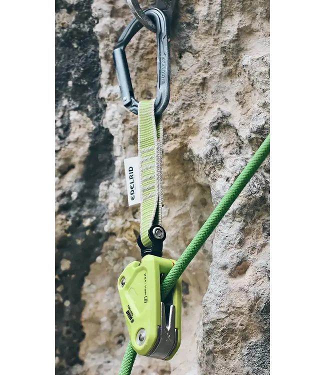 Ohm II Oasis