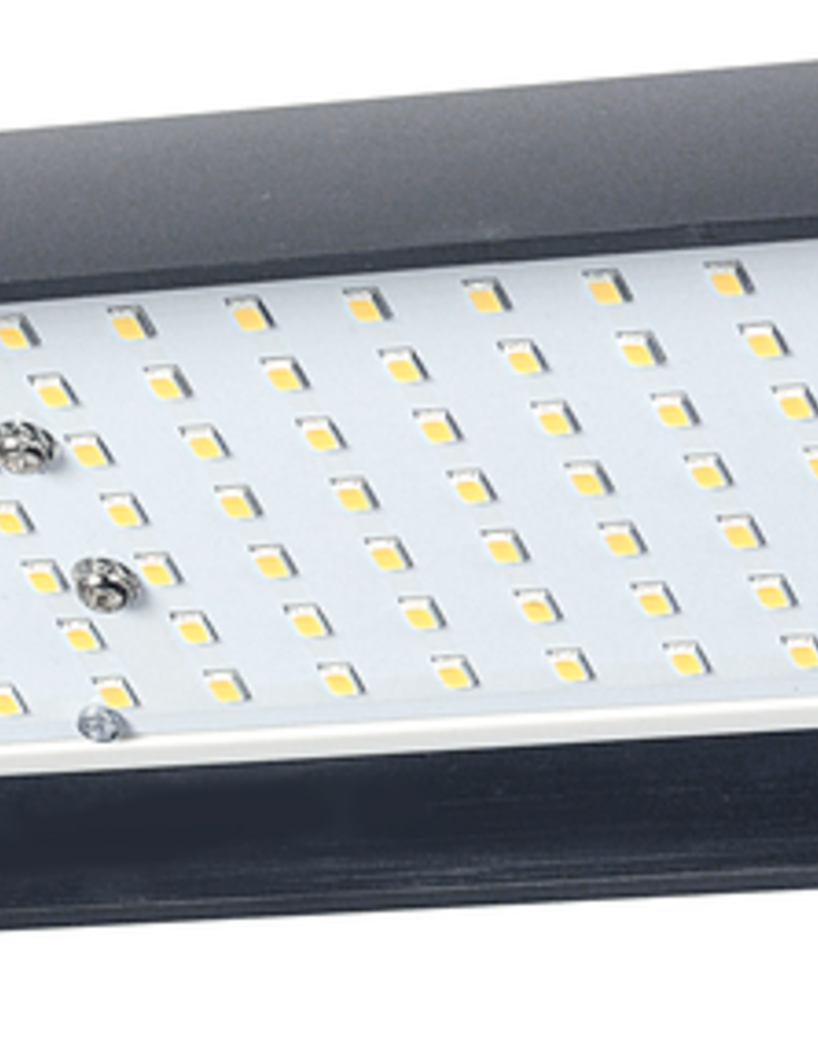 Kaiser RB 5020 DS2 LED Lighting Unit, CRI=95.  100 - 120 V / 60 Hz, US-Plug
