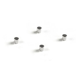 Kaiser Neodymium Magnets (set of 4) for prolite LED 37/25 and 50/37