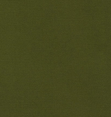Robert Kaufman Big Sur Canvas Moss Green