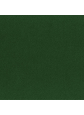 Wool Felt Kelly Green - Modern Domestic