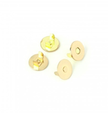 Sallie Tomato 3/4" Magnetic Snap 1 set Gold Finish