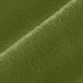Shannon Fabrics Cuddle Solid Cactus
