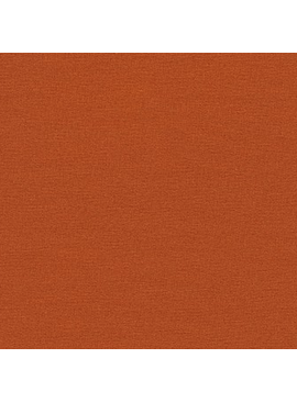 Robert Kaufman Trainers French Terry Sienna