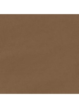 Shannon Fabrics Cuddle Solid Simply Taupe