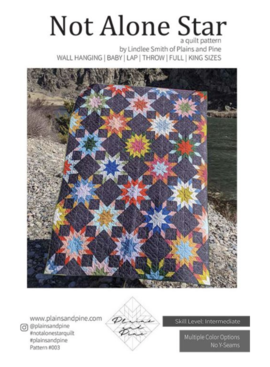 Plains and Pine Plains and Pine Not Alone Star Quilt Pattern