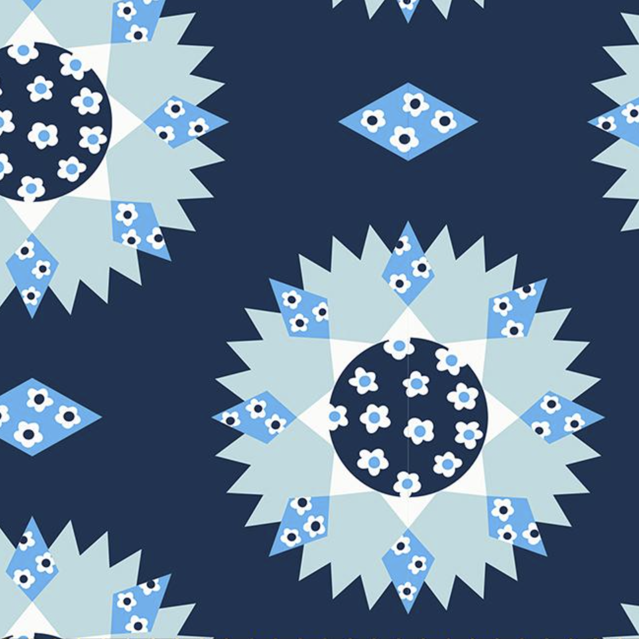 Ruby Star Society SALE Lil Sunpatch Navy