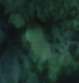 Anthology Lava Solids Batik Willow