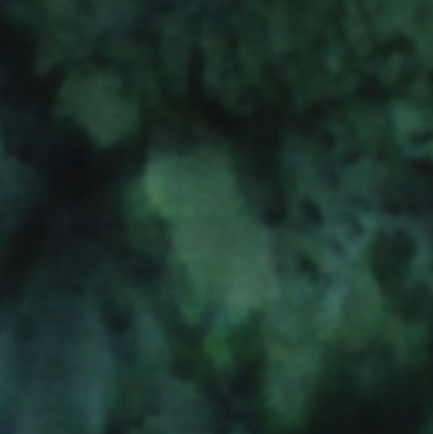 Anthology Lava Solids Batik Willow