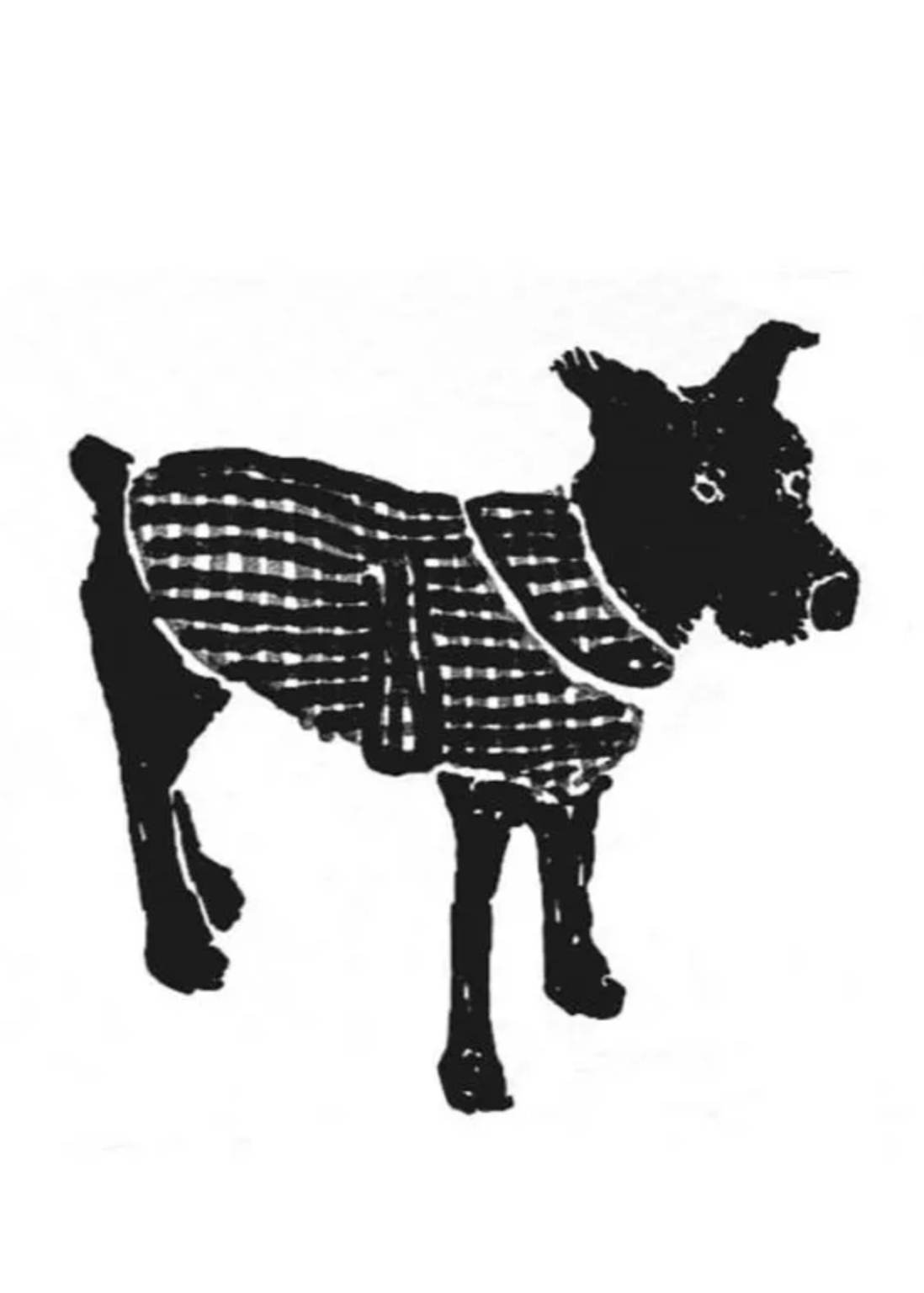 Merchant & Mills Merchant & Mills Barka Dog Coat Pattern