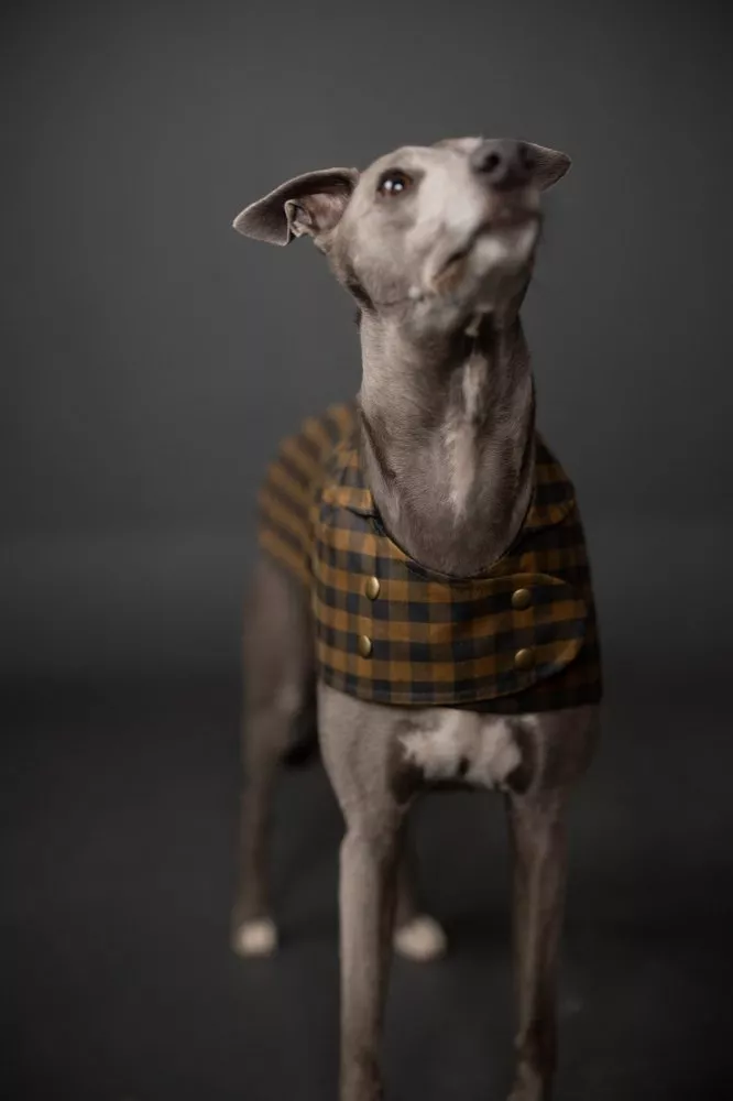 Merchant & Mills Merchant & Mills Barka Dog Coat Pattern