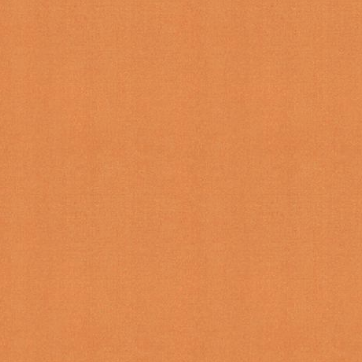 Ruby Star Society Warp Weft Hue by Alexia Abegg Spice