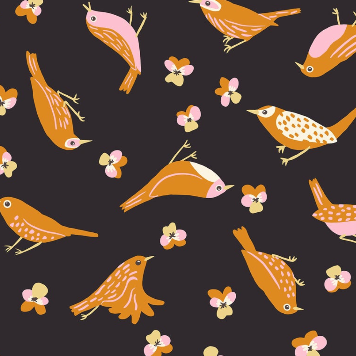 Ruby Star Society Bird Is The Word Flight Soft Black