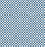 Riley Blake Check Please! 1/4" Check Ivory Coastal Blue
