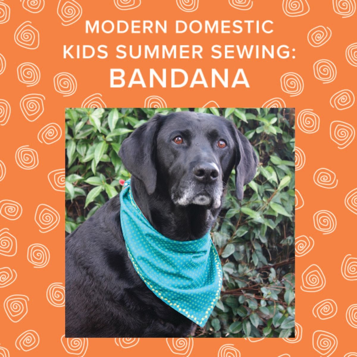 Colleen Connolly Kids Summer Sewing: Make a Bandana! Tuesday, August 12th, 10am-1pm