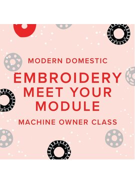 Modern Domestic BERNINA Machine Owner Class: Meet Your Embroidery Module