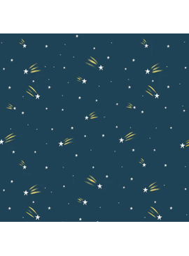 Cloud 9 Fabrics Camp Canine Under the Stars