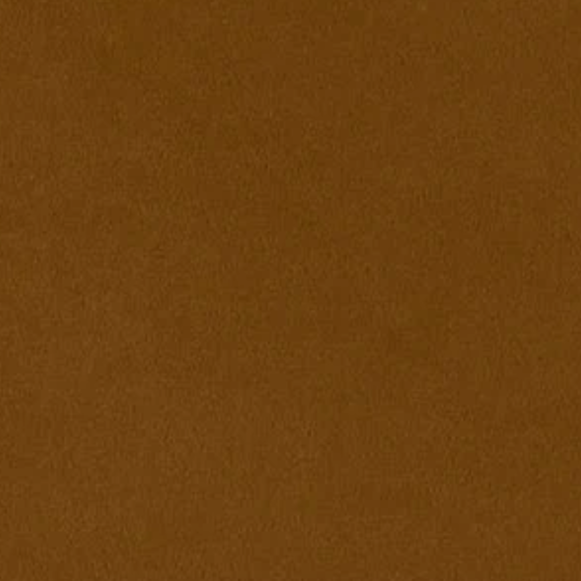 Shannon Fabrics Cuddle Solid Caramel