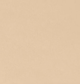 Shannon Fabrics Cuddle Solid Latte