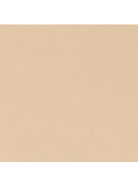 Shannon Fabrics Cuddle Solid Latte