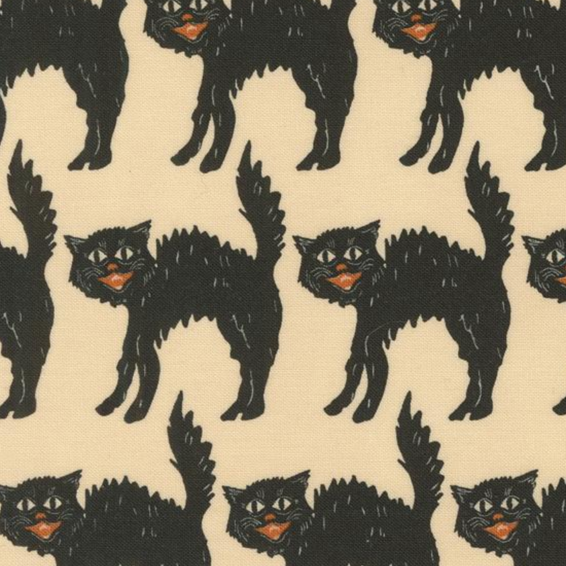 Moda Home Sweet Haunt Bone Scaredy Cat