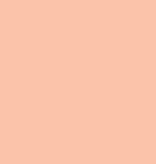 Art Gallery Art Gallery Solid Flannel Georgia Peach