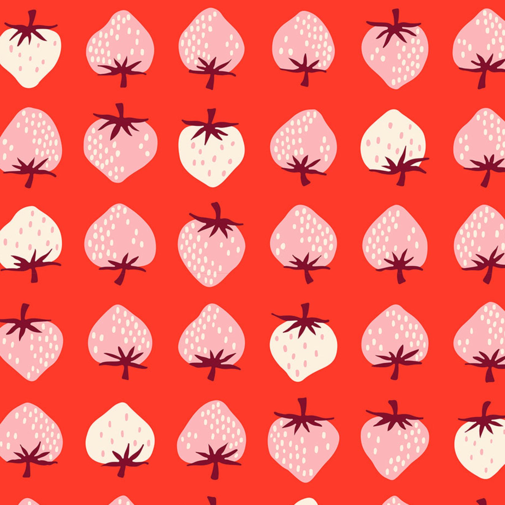 Ruby Star Society Strawberry Grid Lollipop