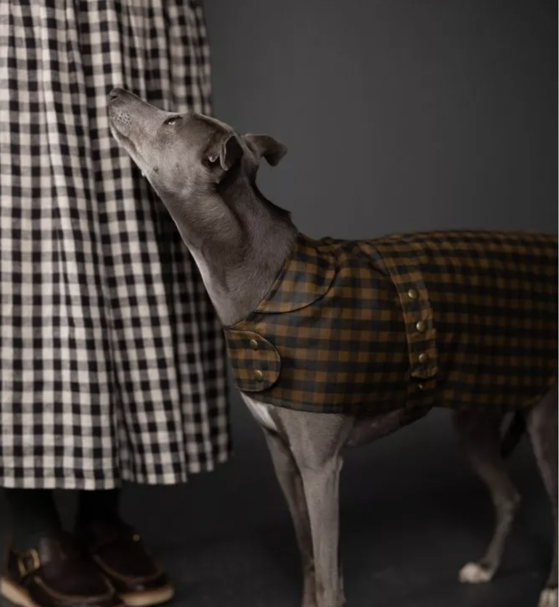 Colleen Connolly Learn to Sew: Barka (Parka for Your Pet!), Fridays, August 15th & 22nd, 4pm-8pm