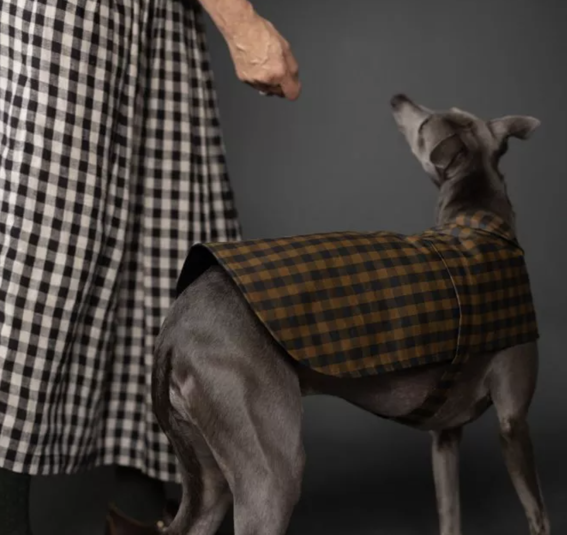 Colleen Connolly Learn to Sew: Barka (Parka for Your Pet!), Fridays, August 15th & 22nd, 4pm-8pm