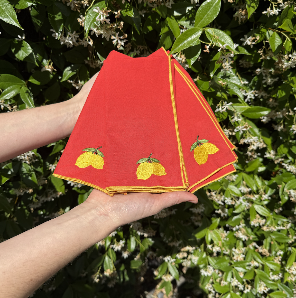Rachel Halse Machine Embroidery: Summer Napkins, Sunday, August 3rd, 10am-1pm