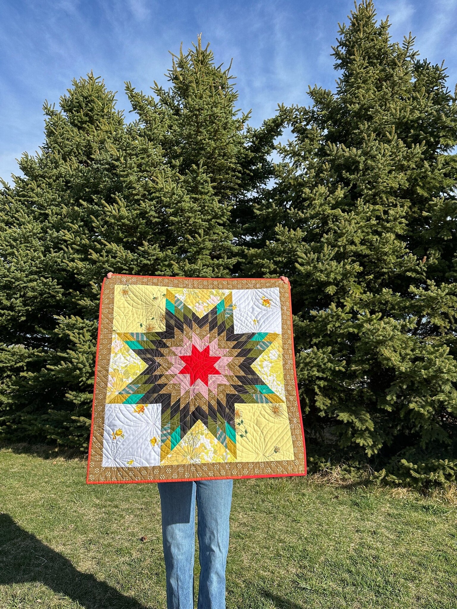 Plains and Pine Plains and Pine Y Not Star 2 Quilt Pattern