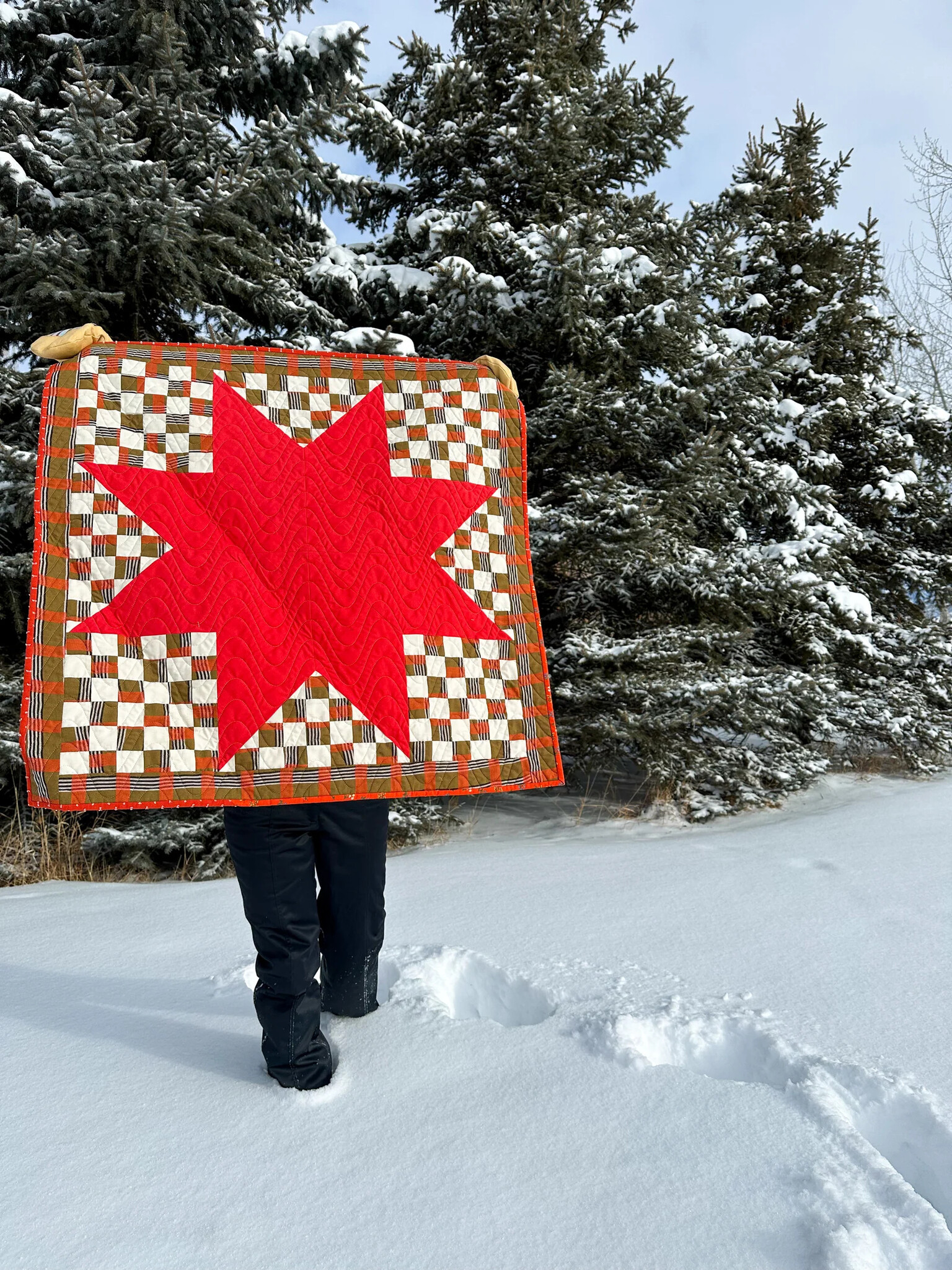 Plains and Pine Plains and Pine Y Not Star Quilt Pattern