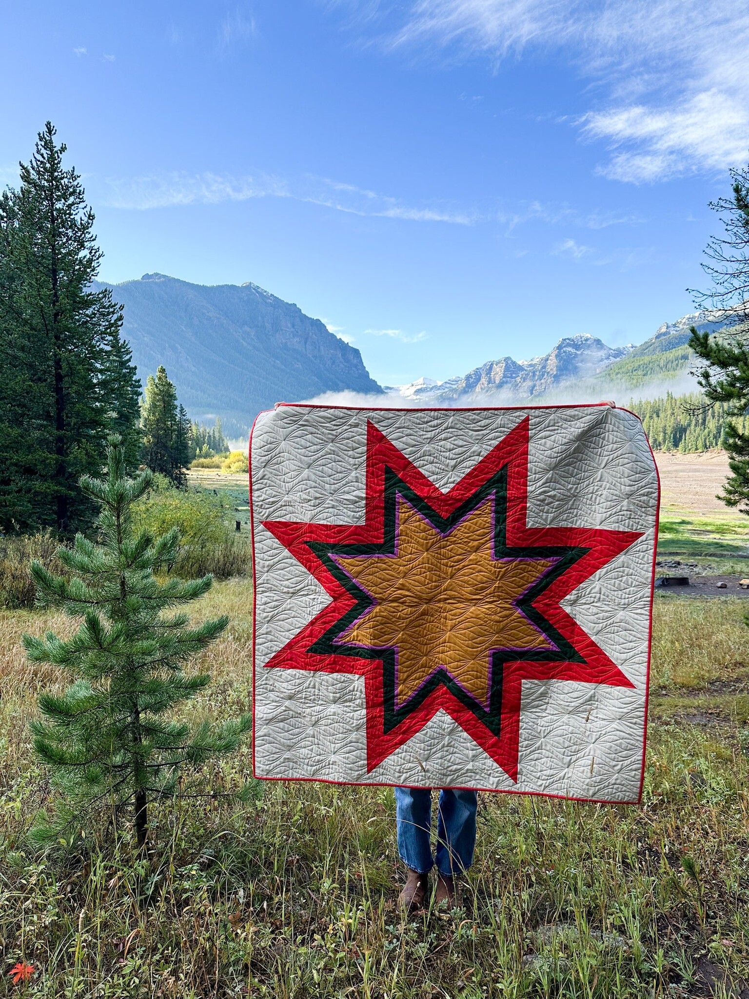 Plains and Pine Plains and Pine Dog Star Quilt Pattern