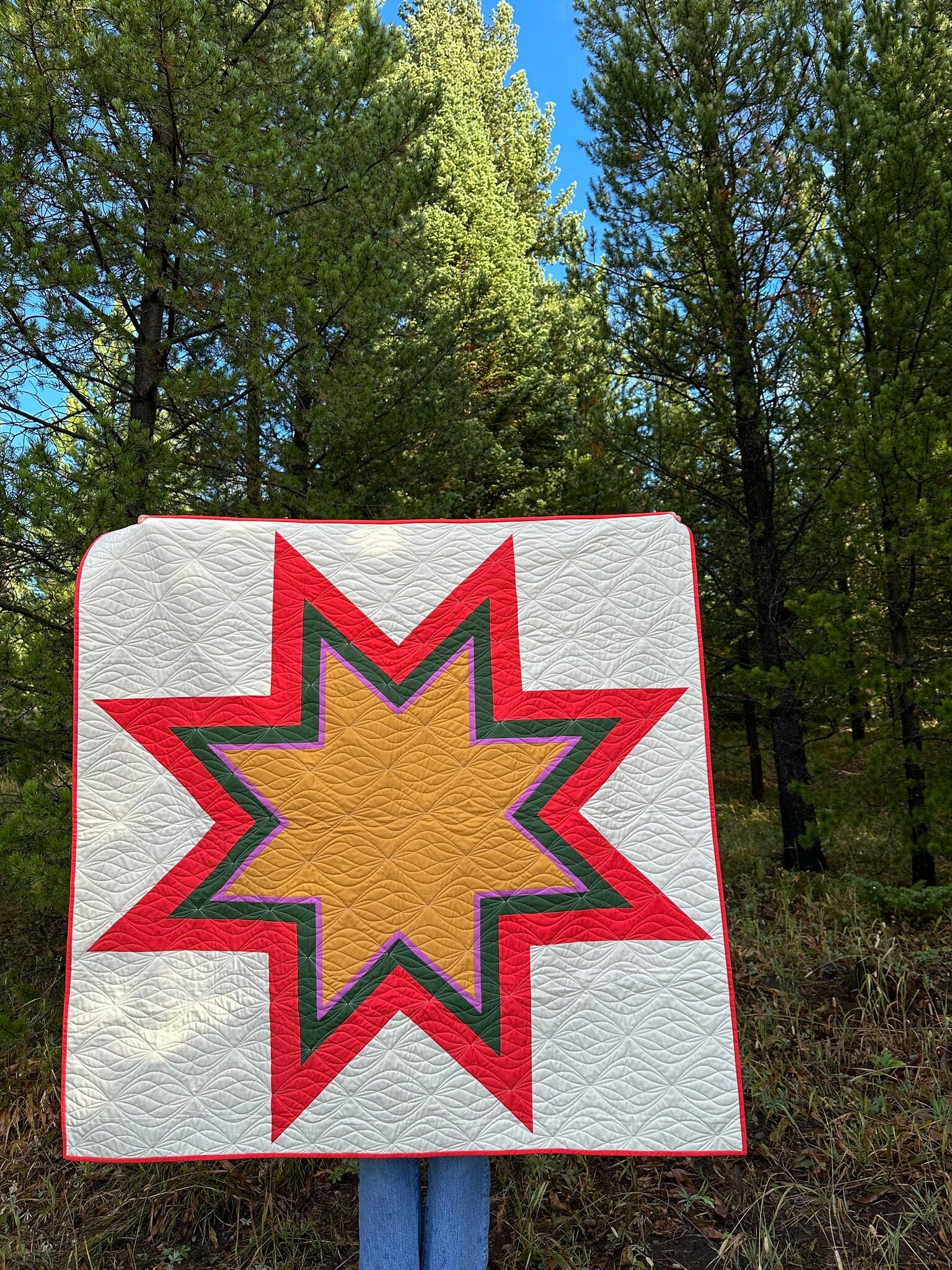 Plains and Pine Plains and Pine Dog Star Quilt Pattern