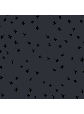 Ruby Star Society Starry by Alexia Abegg Charcoal