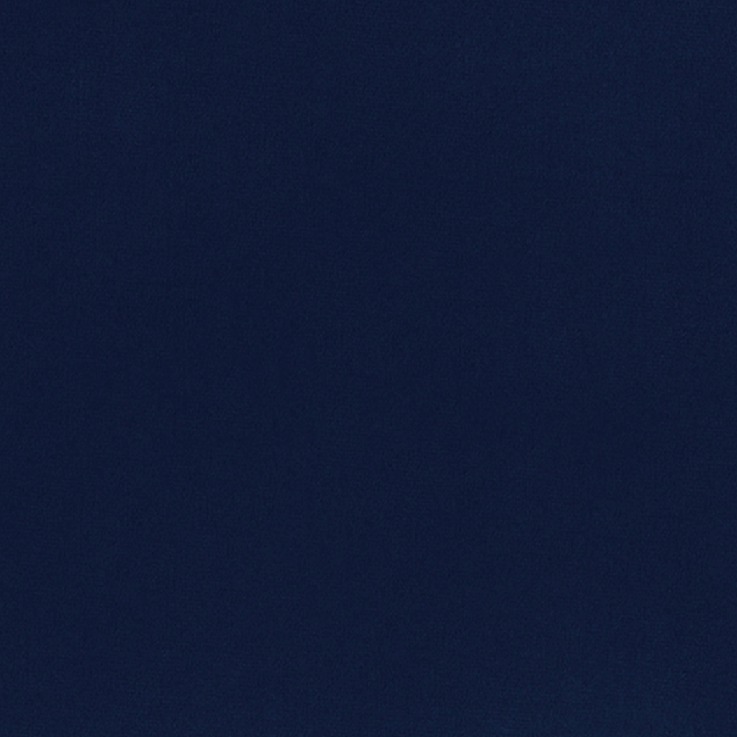 Shannon Fabrics Cuddle Solid Navy