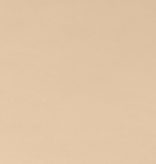 Shannon Fabrics Cuddle Solid Latte