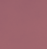 Shannon Fabrics Cuddle Solid Desert Rose