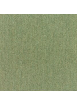 Sunbrella Canvas Fern