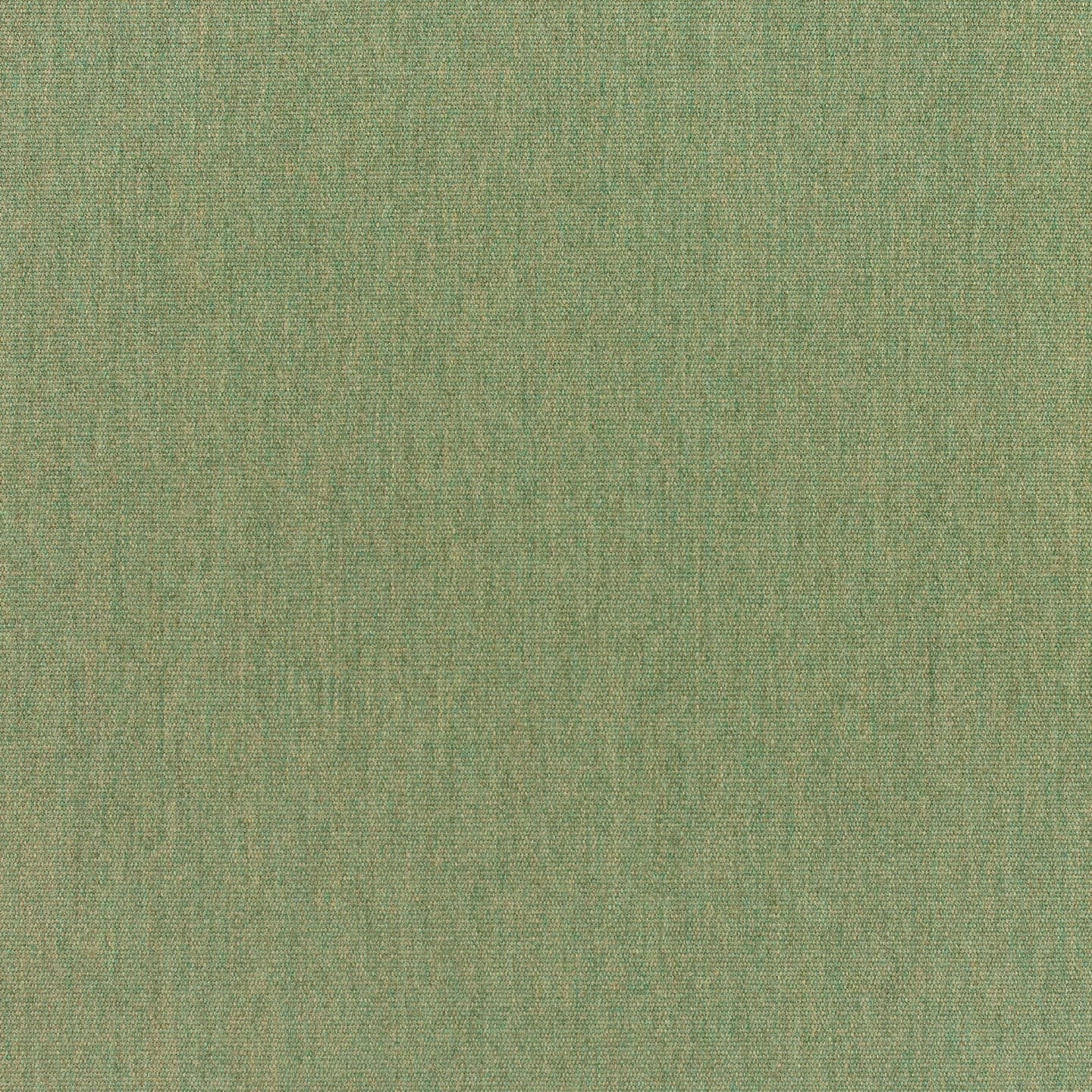 Sunbrella Canvas Fern
