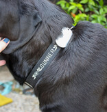 Colleen Connolly Learn to Sew: Customized Collar (For Your Pet), Sunday, October 12th, 10am-12:30pm