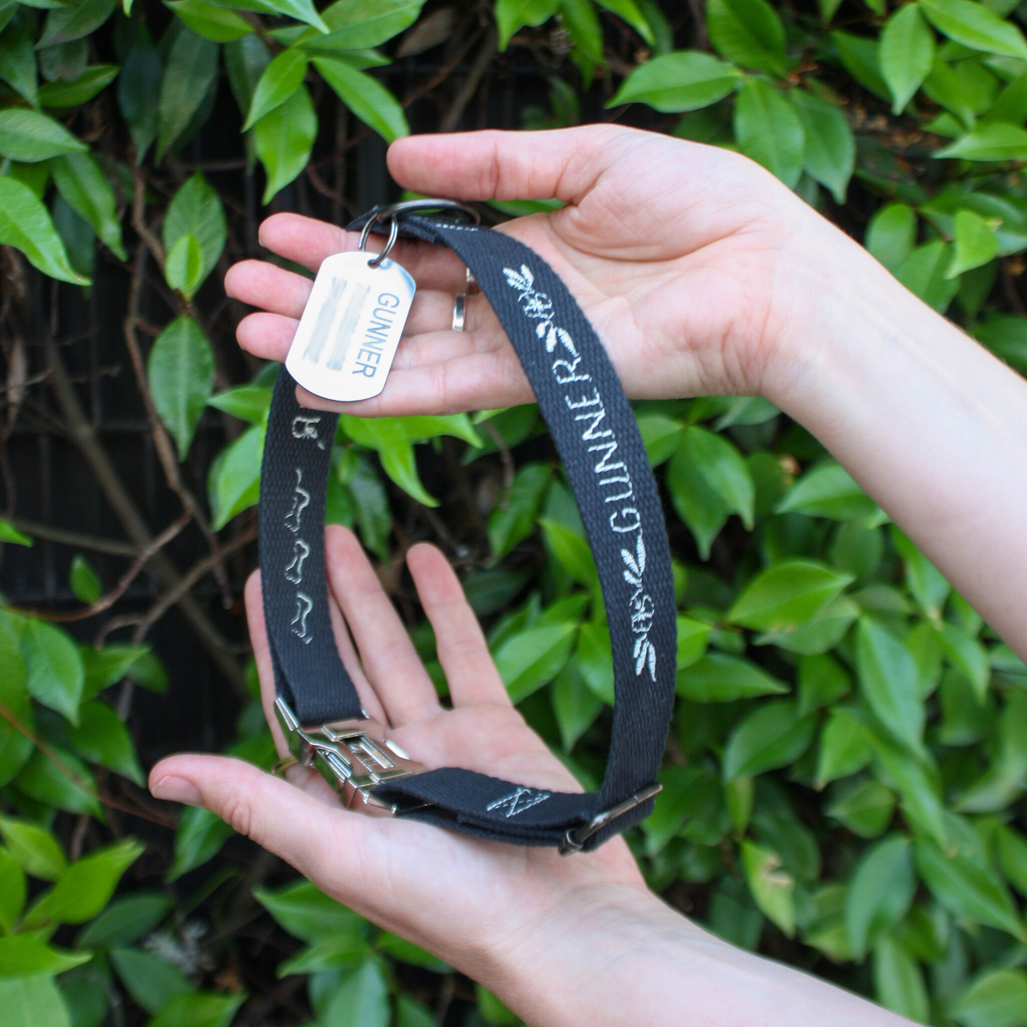 Colleen Connolly Learn to Sew: Customized Collar (For Your Pet), Sunday, October 12th, 10am-12:30pm