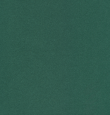 Robert Kaufman Mammoth Flannel Solid Spruce