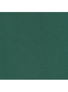Robert Kaufman Mammoth Flannel Solid Spruce