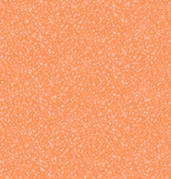 Andover Freckles 2 Orangeade